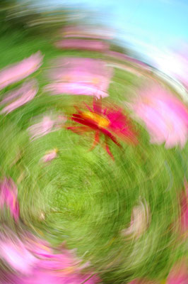 Foto: Andreas Ender, photo-art+painting