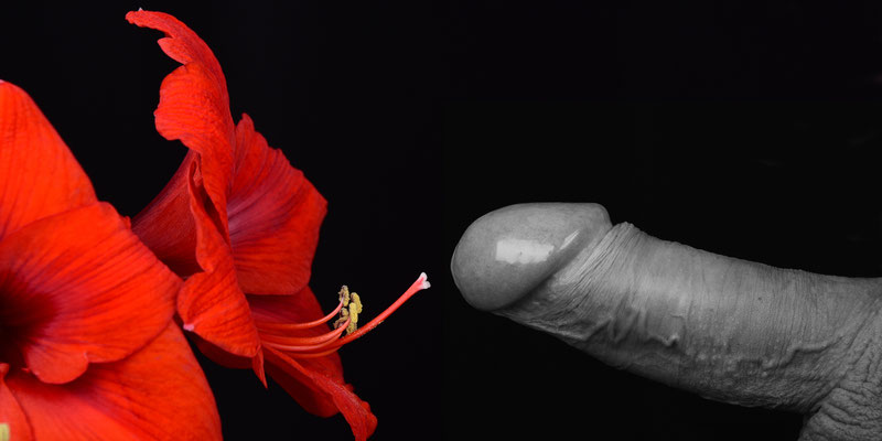 Foto: Andreas Ender, photo-art+painting| Erected Flowers - männliche Modelle gesucht!