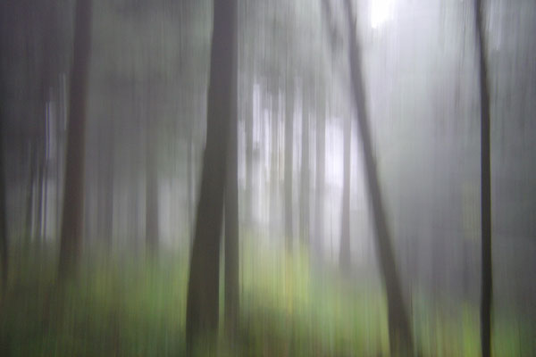 Foto: Andreas Ender, photo-art+painting