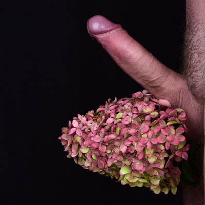 Foto: Andreas Ender, photo-art+painting| Erected Flowers - männliche Modelle gesucht!