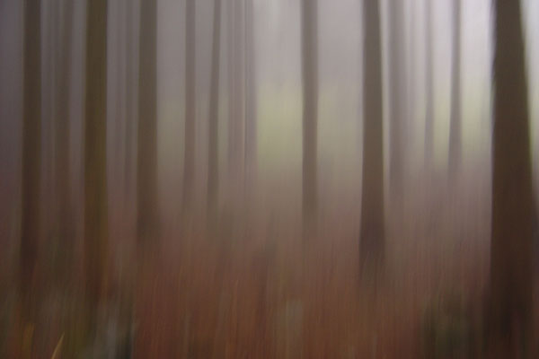 Foto: Andreas Ender, photo-art+painting