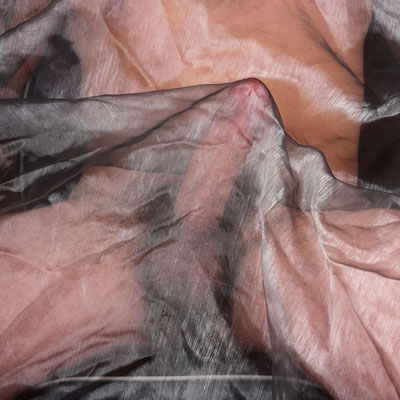 Foto: Andreas Ender, photo-art+painting| Erected Flowers - männliche Modelle gesucht!