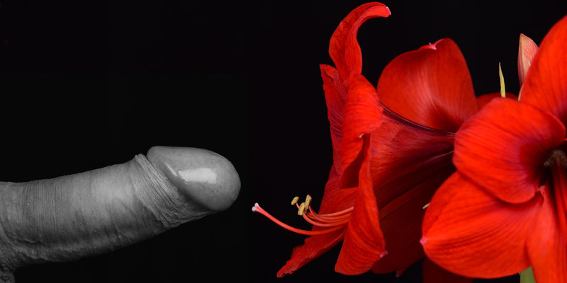 Foto: Andreas Ender, photo-art+painting| Erected Flowers - männliche Modelle gesucht!