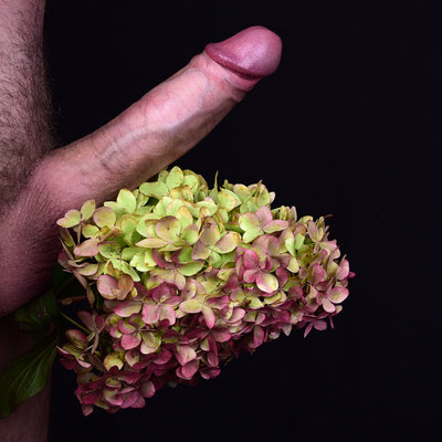 Foto: Andreas Ender, photo-art+painting| Erected Flowers - männliche Modelle gesucht!