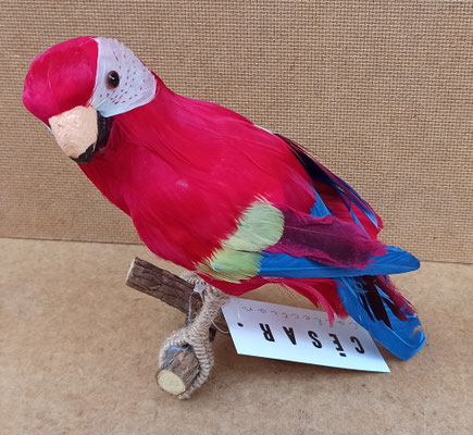 Loro porexpan plumas. Ref 60240. 15x20x10