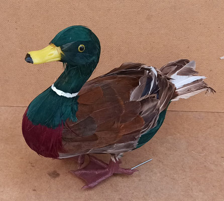 Pato poliespan y plumas. 26x12x35