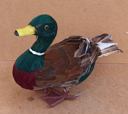 Pato poliespan y plumas. 26x12x35