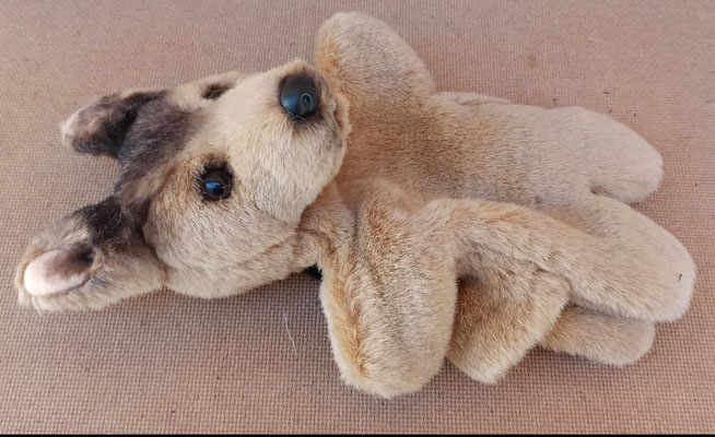 Perro peluche marioneta de mano