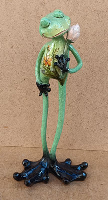 Rana resina. Ref 16937. 32x14x7