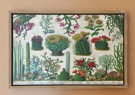 Cuadro cactus. Ref 19973. 60x40x3