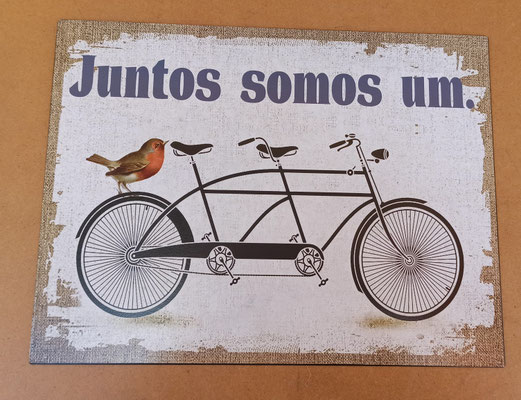 Chapa bici. Ref 13780. 33x25