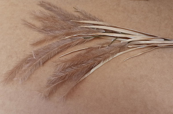 Rama Beige. Ref 68475. 