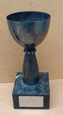 Trofeo vintage. Ref GOY. 22,5x9