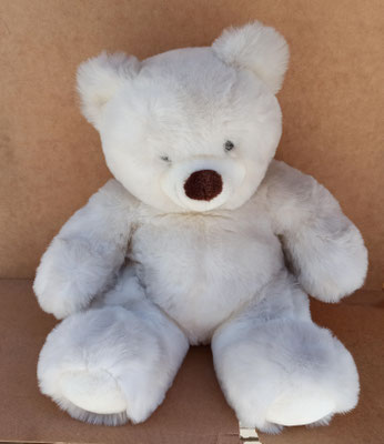 Oso peluche. 50x50