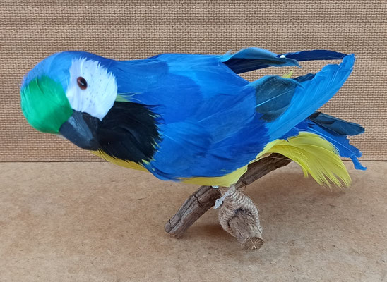 Loro porexpan plumas. Ref 60238. 15x20x10