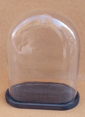 Fanal oval base madera. Ref 7778B. Medida del cristal 50x39x20