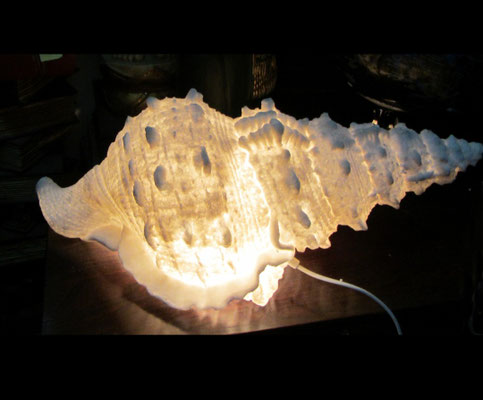 Lámpara caracola porcelana. Ref 542019. 37,5x18,5x16