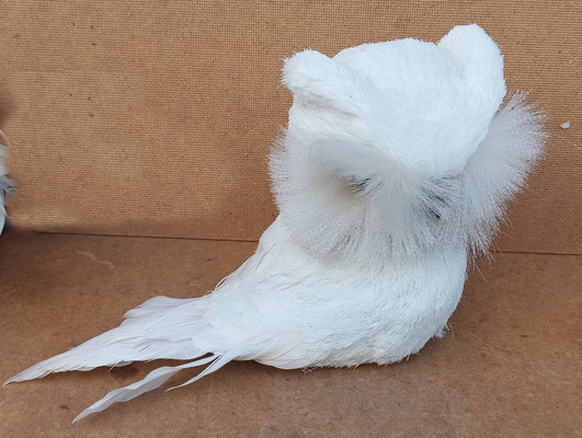 Loro poliespan y plumas. Ref 26054. 18x30x12