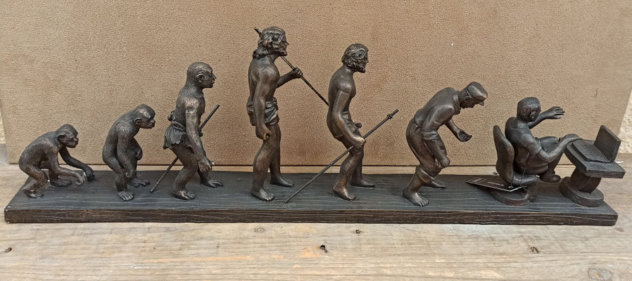 Evolución resina. 
