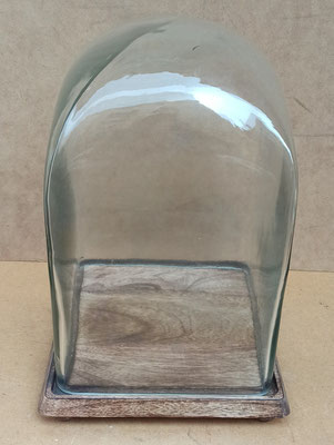 Fanal cuadrado base madera. Ref 6GL3433. Medida del cristal 30x18.