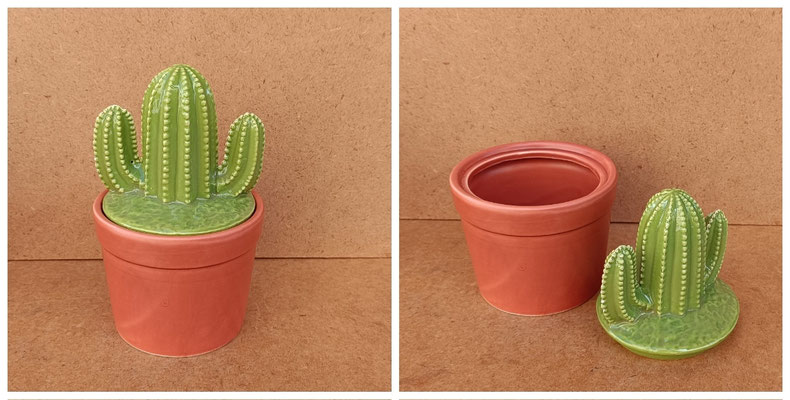 Caja maceta cactus. Ref 182018. 20x11