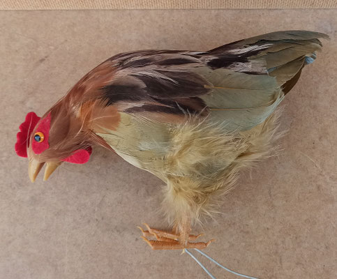 Gallina poliespan y plumas. 13x22x9