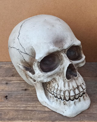 Calavera hucha resina. Ref MB185. 23x15x17