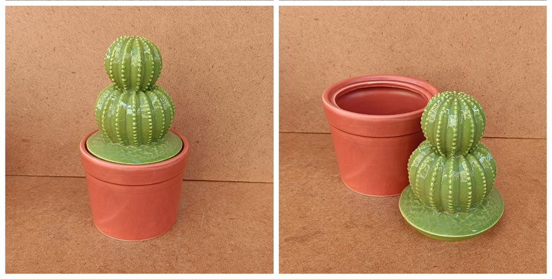 Caja maceta cactus. Ref 182018. 21x11