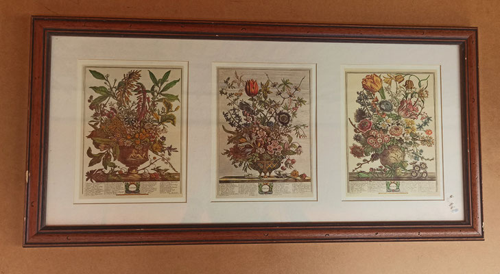 Cuadro flores. 72x36