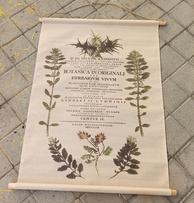 Lienzo pergamino de tela impresa botánica. Ref 22042. 76x97