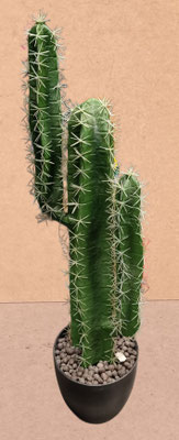 Cactus en maceta. Ref 472197. 80x26x18