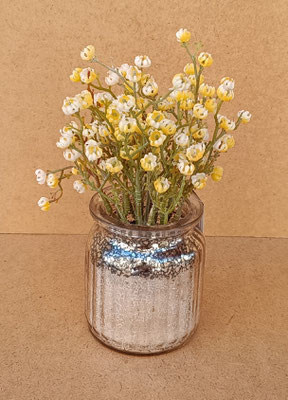 Planta Glipsofila en maceta cristal. Ref 21570011. 20x7