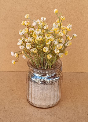 Planta Glipsofila en maceta cristal. Ref 21570011. 20x7