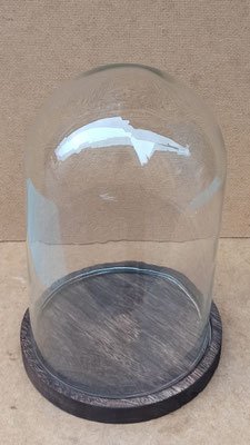 Fanal base madera. Ref 6GL1945. Medida del cristal 23x14
