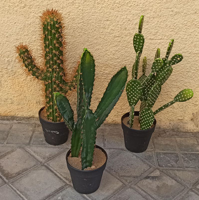 Cactus artificiales. Diferentes medidas.