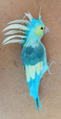 Papagayo poliespan y plumas. Ref 82213. 30x9x8