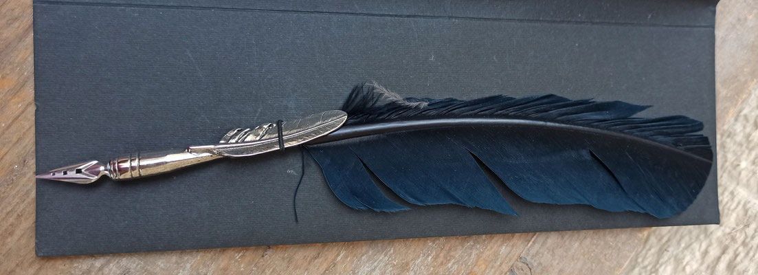 Pluma escritura Francesco Rubinato. Ref 201012965