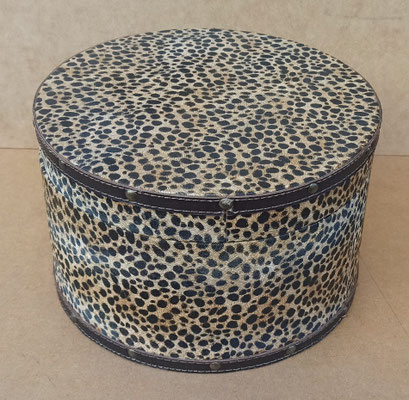 Sombrerera leopardo. Ref 5599. 18x27