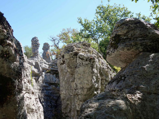 Chassezac: Wandern. Bois de Paiolive, Le Bastiaire und Le Labyrinthe