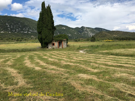 Photo Dominique Boyer:  Casot au Mousquier