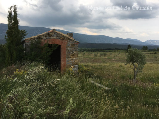 Photo Dominique Boyer