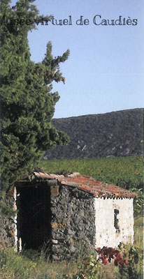 Photo Flyer automne du Chardonnay 2010