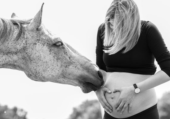 Babybauchshooting mit Pferd | www.visovio.de | 