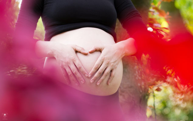 Babybauchshooting im Rosengarten | www.visovio.de | 