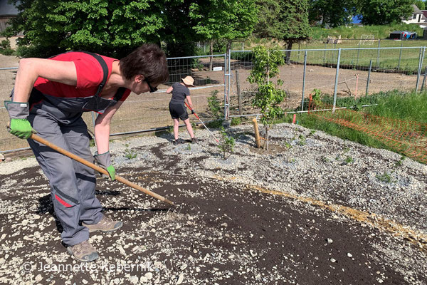 26.05.2023: ich arbeite gütegesicherten Kompost in den Kalkschotter auf dem Burghügel ein