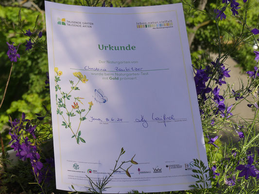 08.06.2024: Urkunde für mein mit Gold prämiertes Naturgarten-Trittsteinprojekt