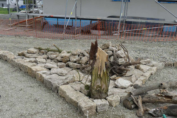 29.04.2023: eine Eidechsenburg entstand im neuen Ortskern Köttendorf