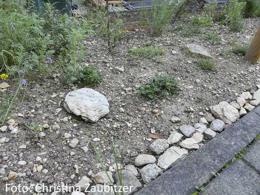 Garten am Hang mit Natursteindeko am Rand und eingerückten Natursteinen