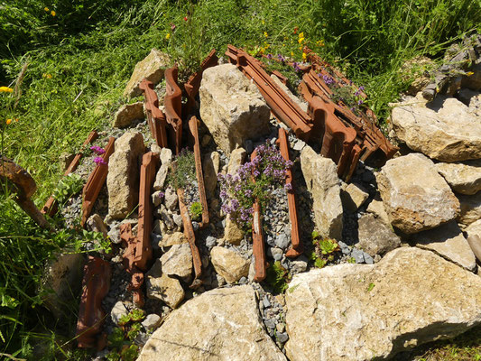 das Spaltengärtchen im naturnahen Ortskern Köttendorf im Mai/Juni 2024