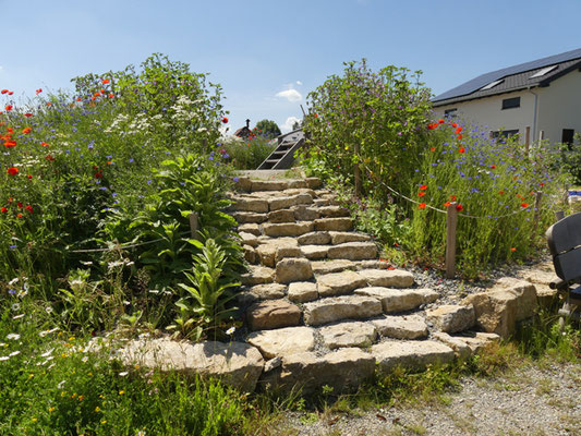 Natursteintreppe zur Plattform mit Rutsche auf dem Burghügel im naturnahen Ortskern Köttendorf